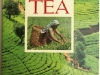The Story of Ceylon Tea