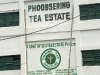 Phoobsering Tea Estate