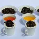 Degustace himálajských čajů