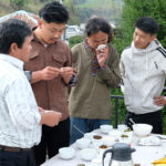 Tea tasting