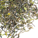 Kangra Wah Tea Spring Wisdom